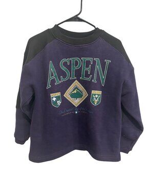 Galt Sand Vintage Aspen Raglan Sleeve Sweatshirt Size Large Gorpcore Streetwear